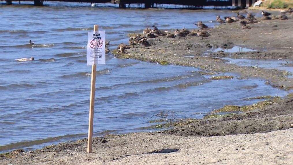 This file photo shows a previous time Juanita Beach Park in Kirkland was closed. The city said on June 22, 2023, the swimming area was closing for at least due to elevated bacteria levels. (KOMO News file photo)